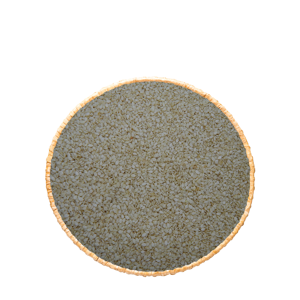 Graines de sésame blanc