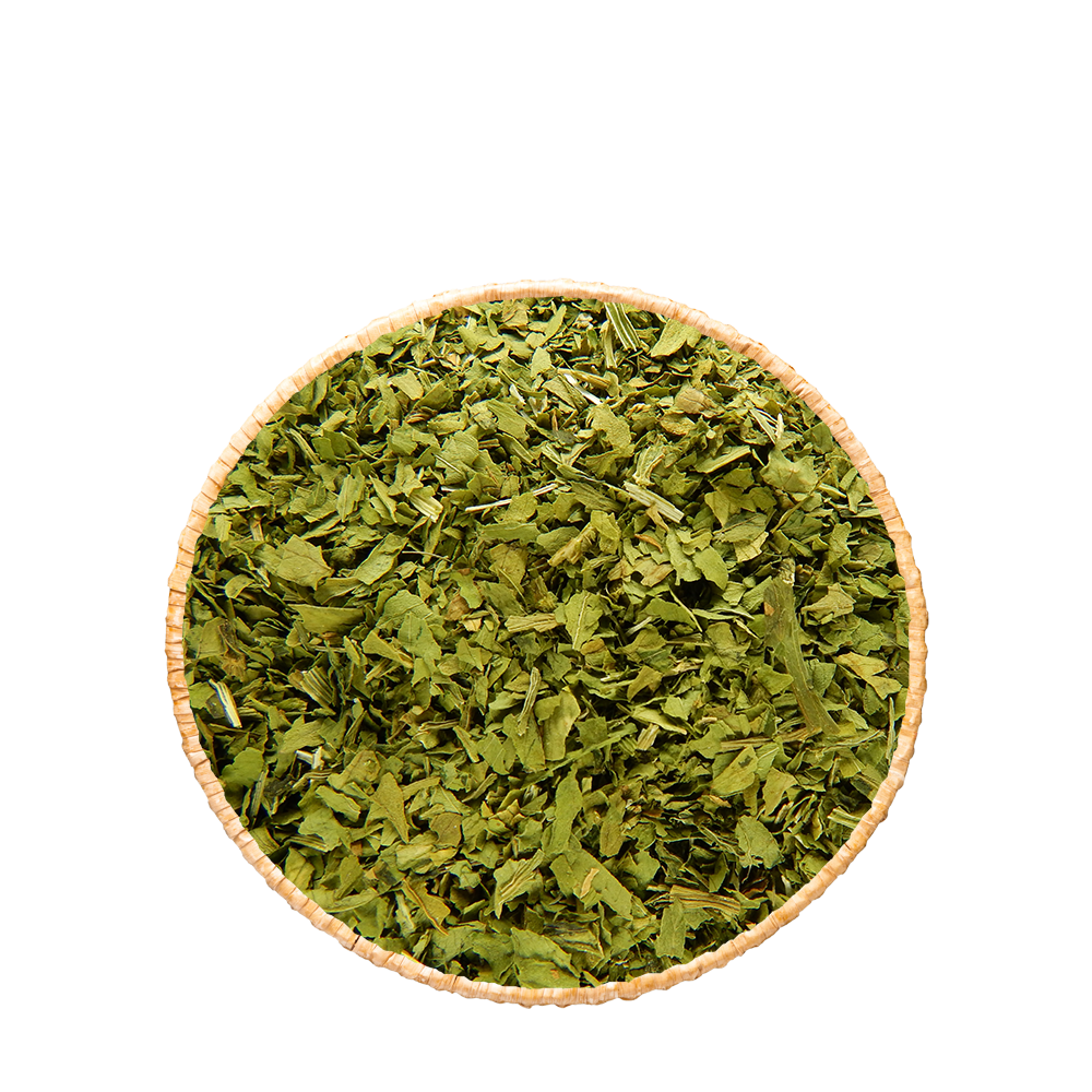 Ache des montagnes séchée