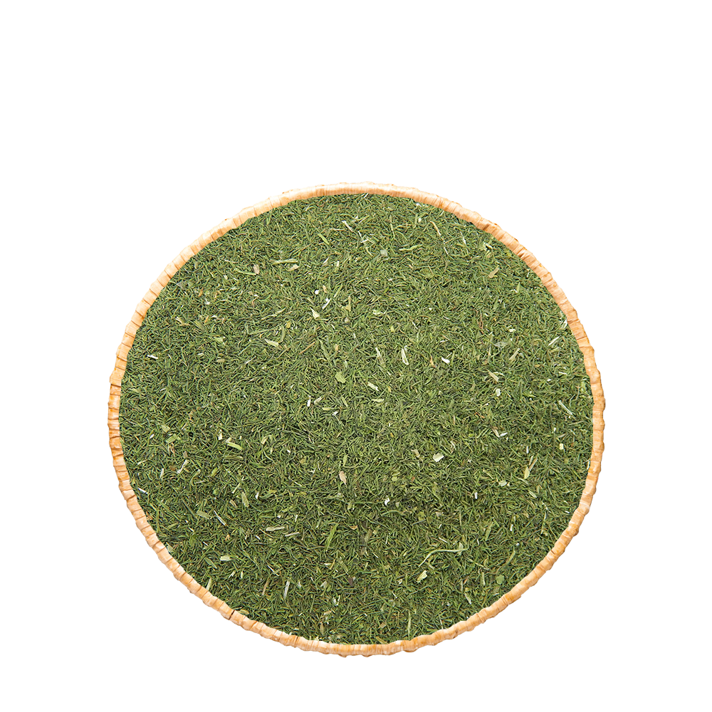 Aneth feuilles séchées