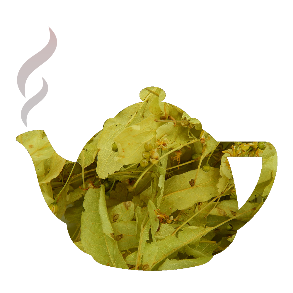 Tilleul feuilles séchées